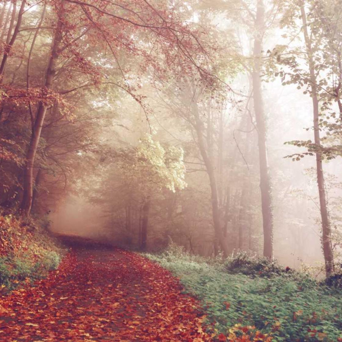 如何利用小众游戏流派和规则规避技术支持盯梢和检测