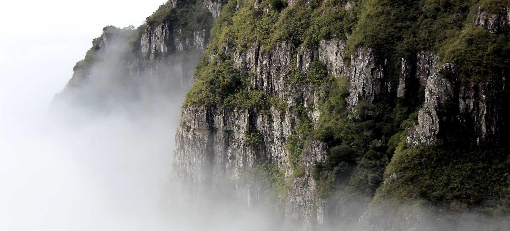 红桃娱乐,注册|注册云集怎么代理