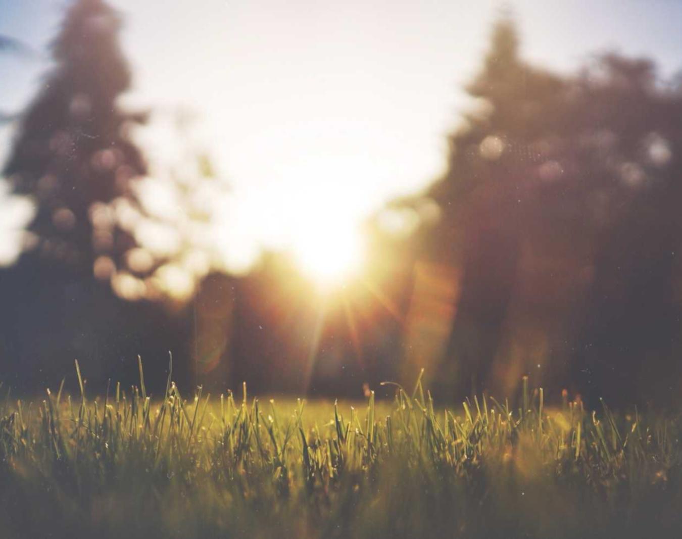 如何使用SEO来排除爬取错误和排名信号