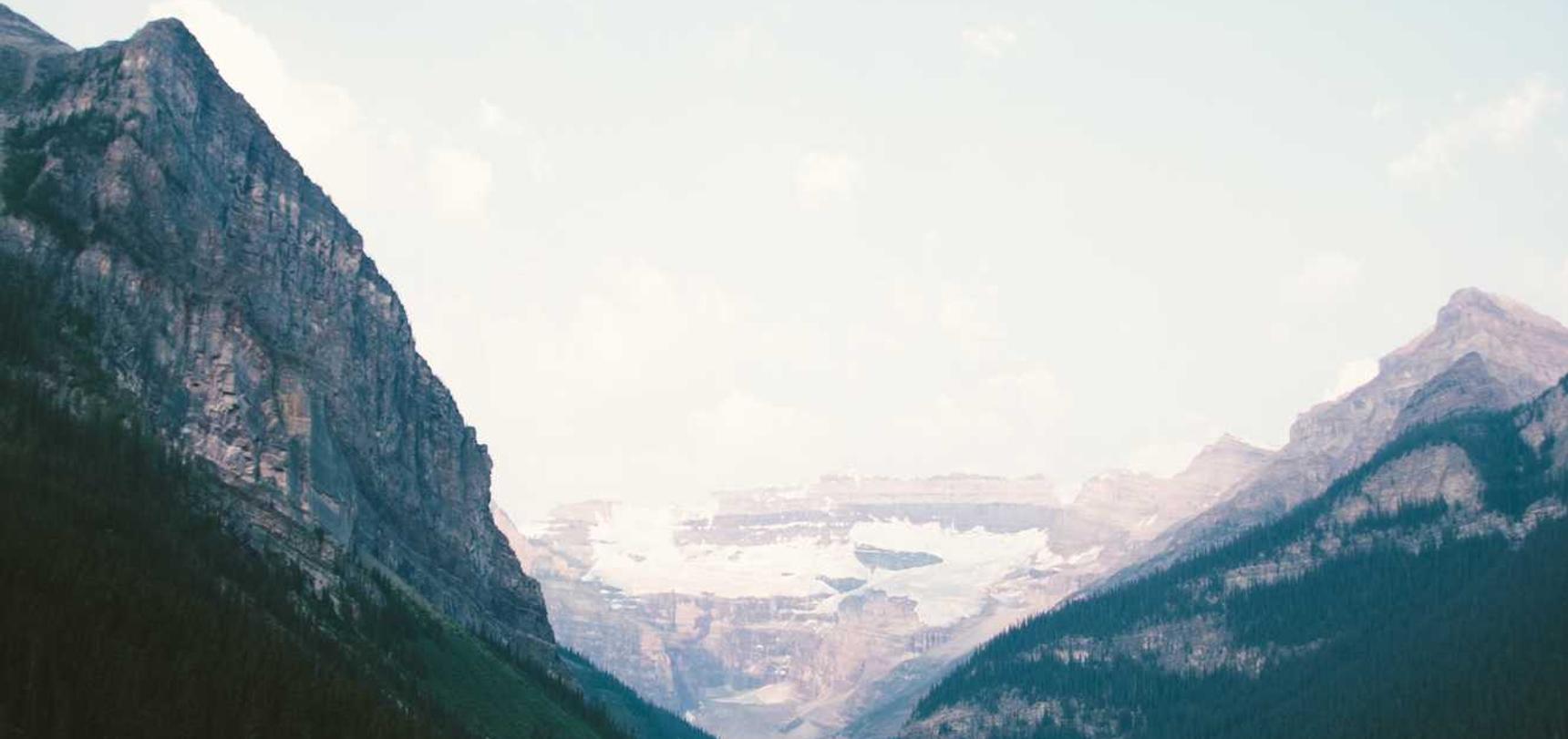 短信与你的宠物:你的宠物如何看待你的短信