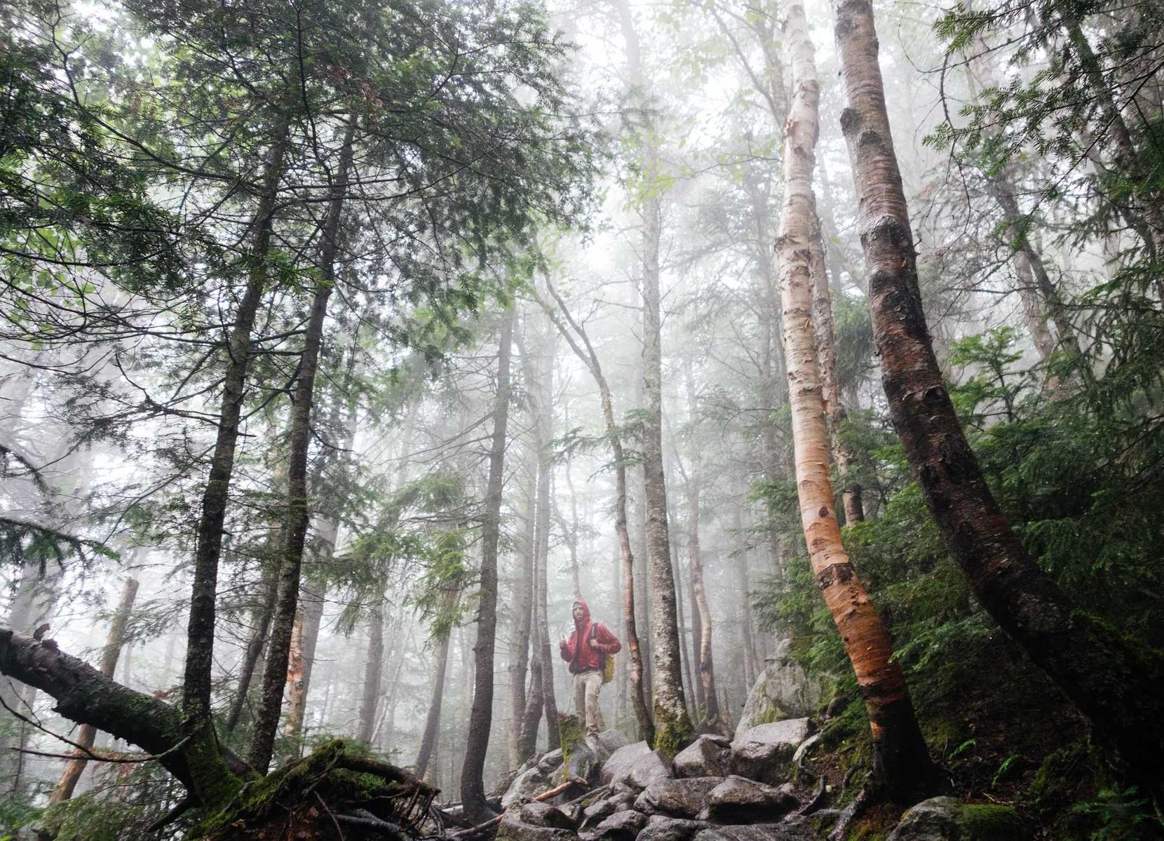 DDOS测试|网络推广代理平台排名优化