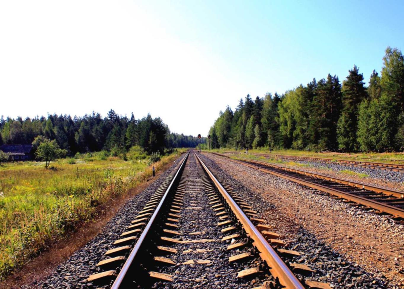 香烟的燃烧方式和吸附特征