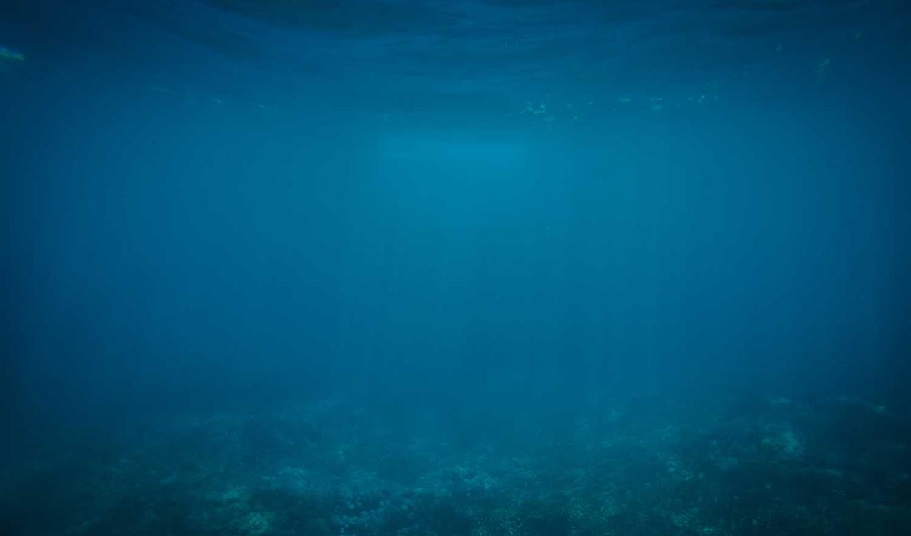 飞网ip实名账号:微信如何注册公众账号注册