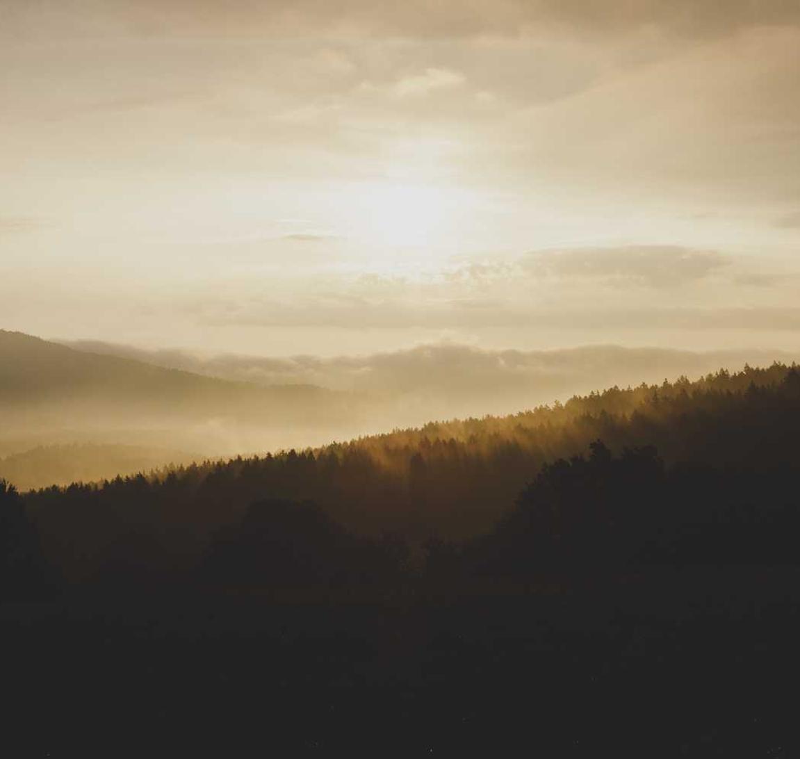 VX号交易网:武侯劳务公司注册代理报价