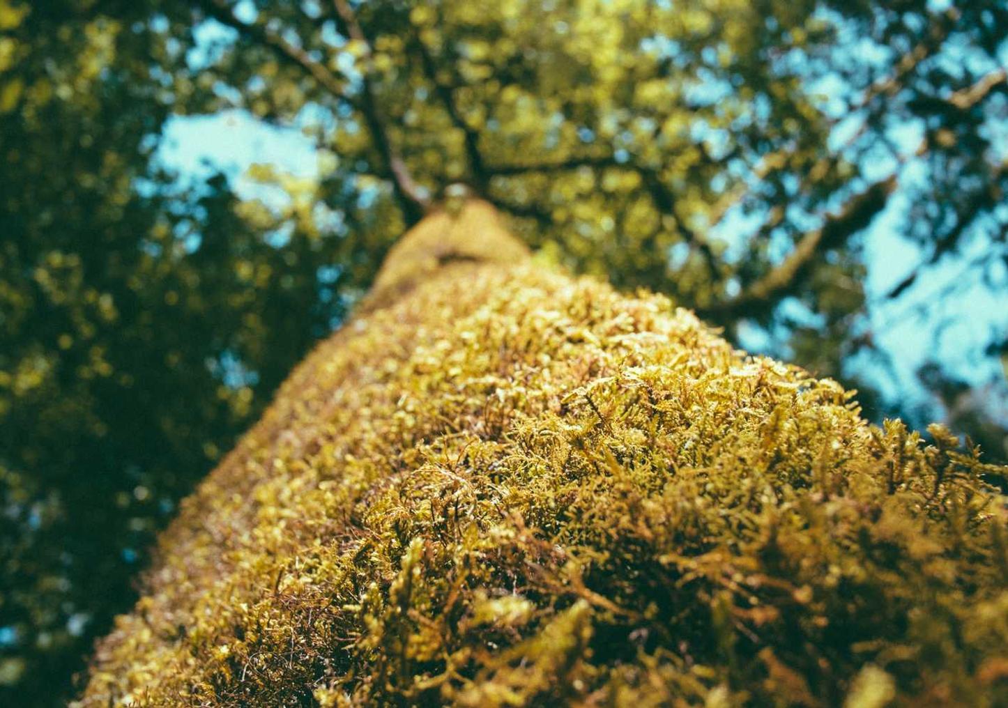 信时空- 高密公司注册代理