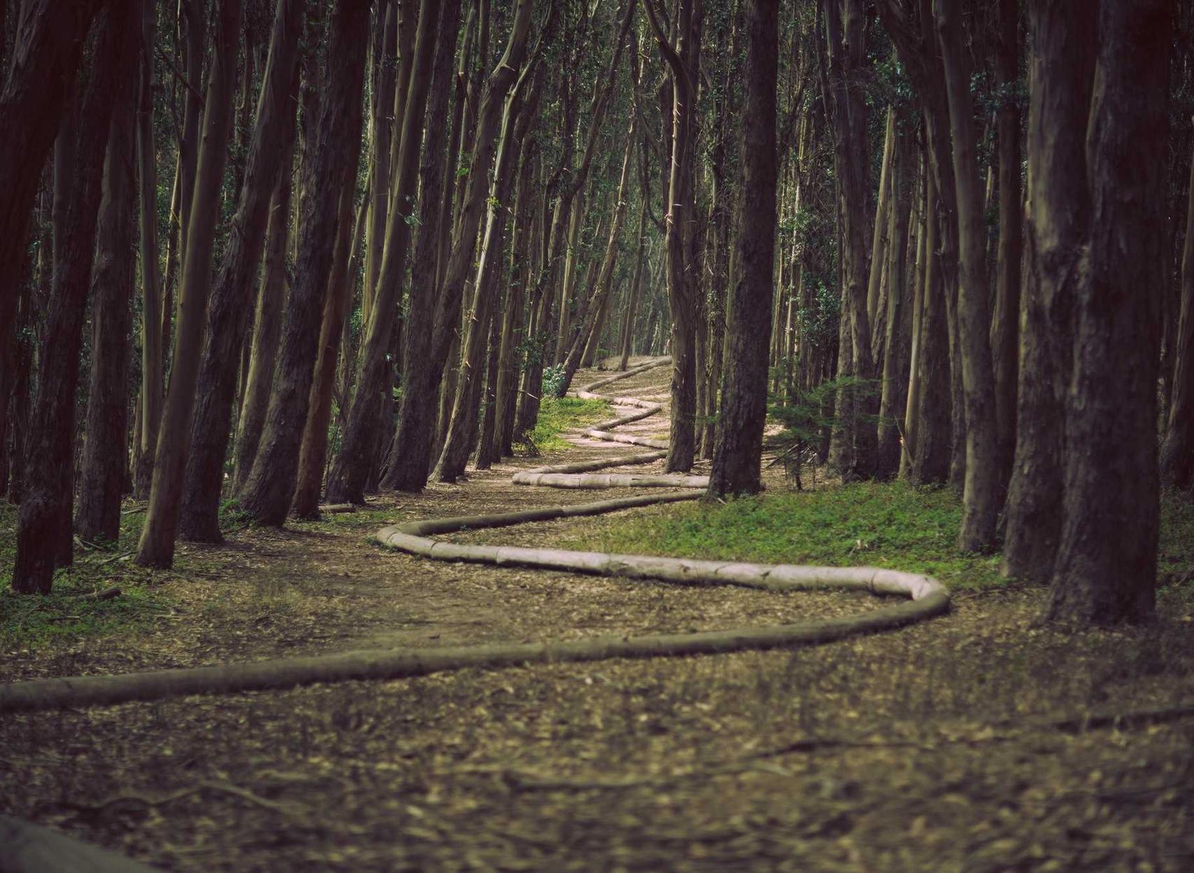 解开DDoS攻击的奥秘：阿里云全面分析与应对措施