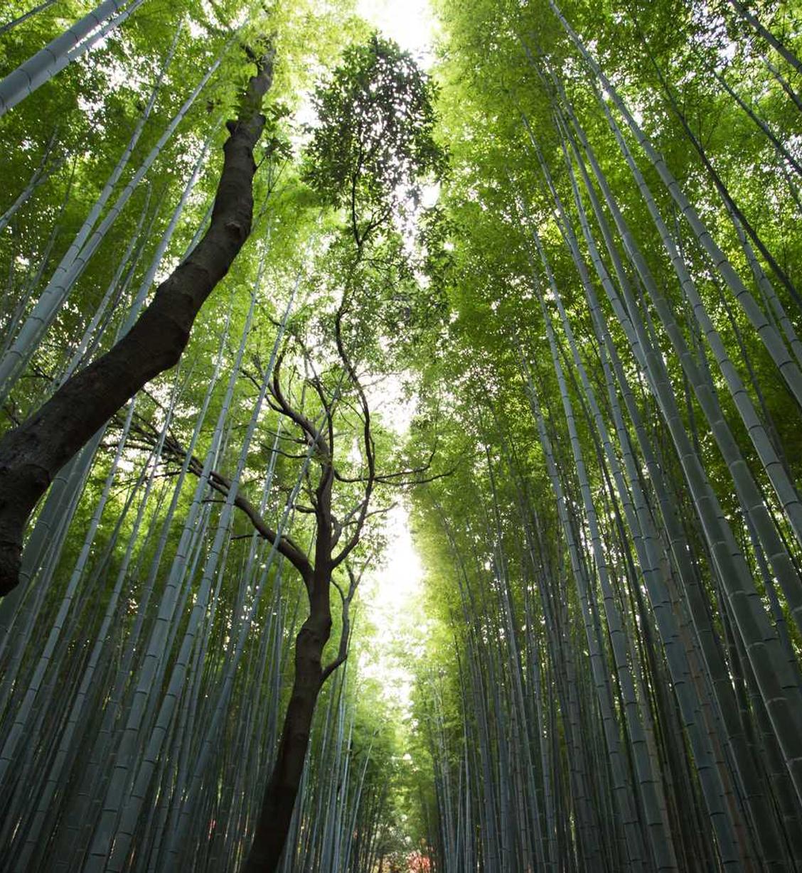 买卖微信账号时：山东贷款平台代理电话