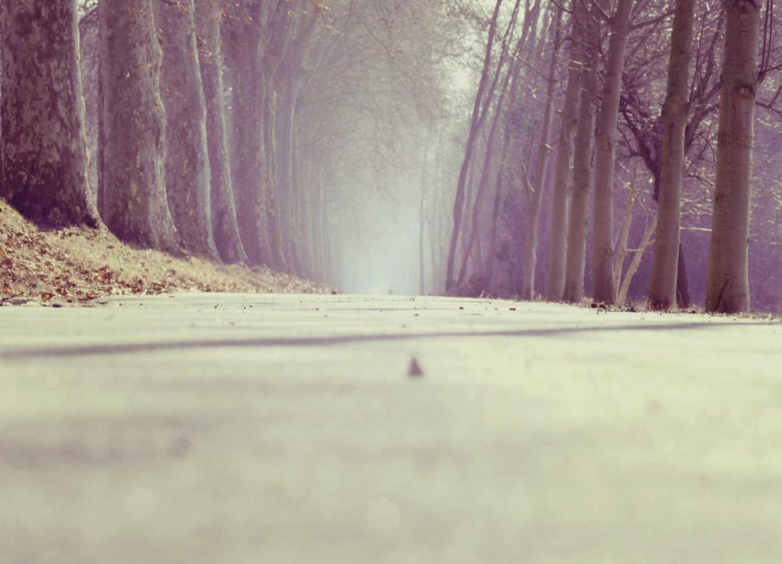 长沙外资注册代理