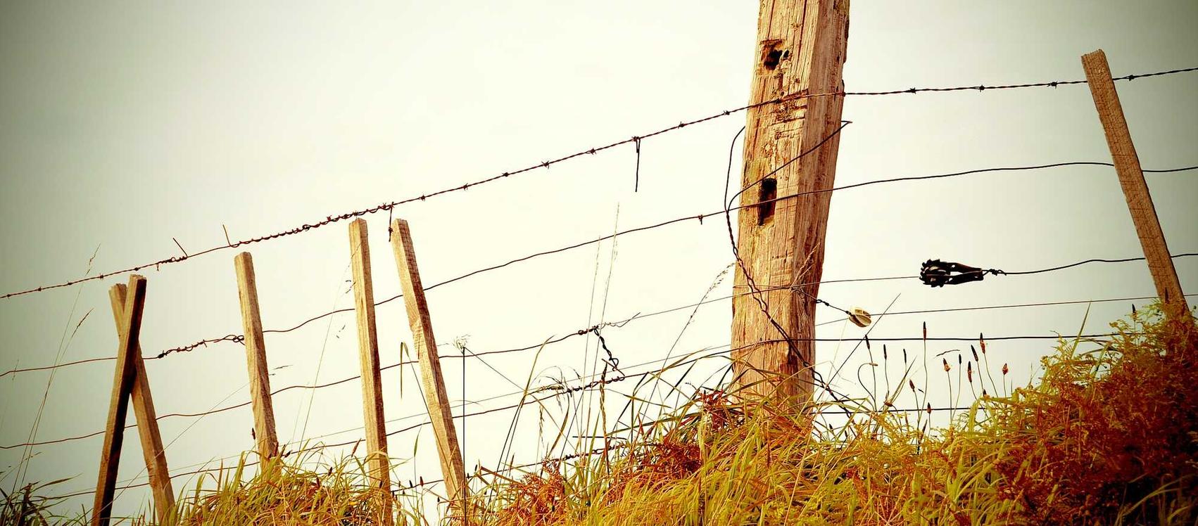 谷歌留痕- 迅捷app手机版详情下载教程