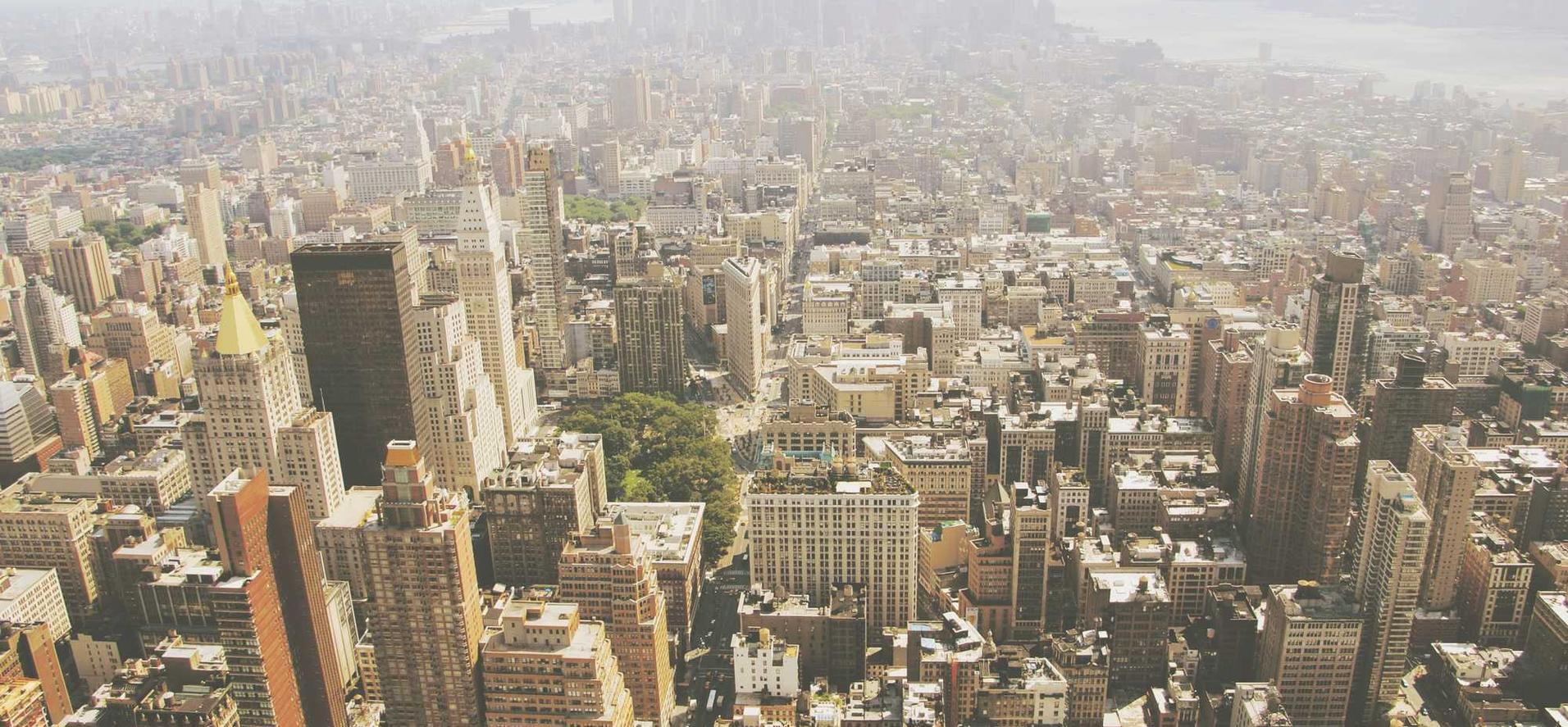 海鸥实名账号:详情下载教程哇趣app