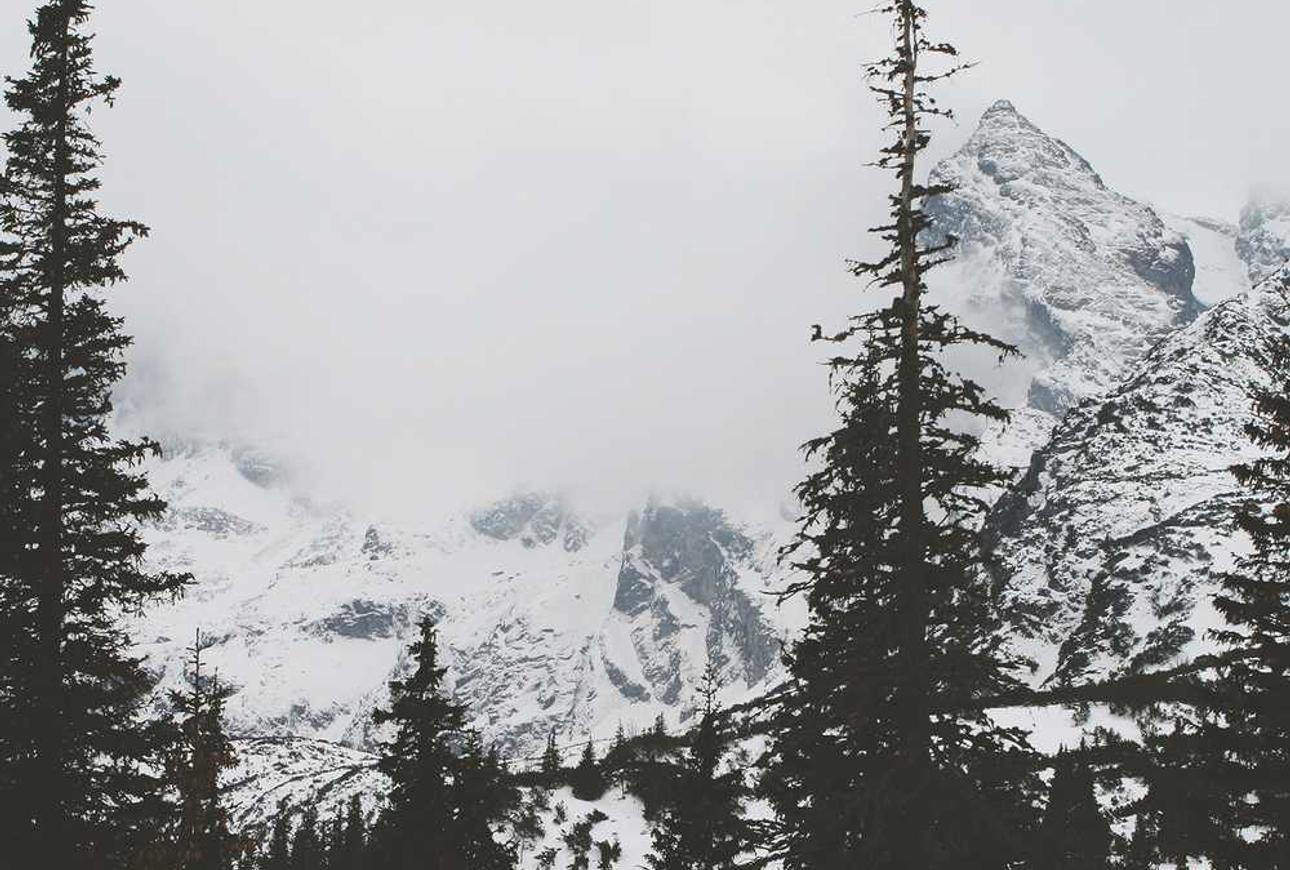 铁塔猫烟花葡萄珠（细）：网易游戏注册原神账号