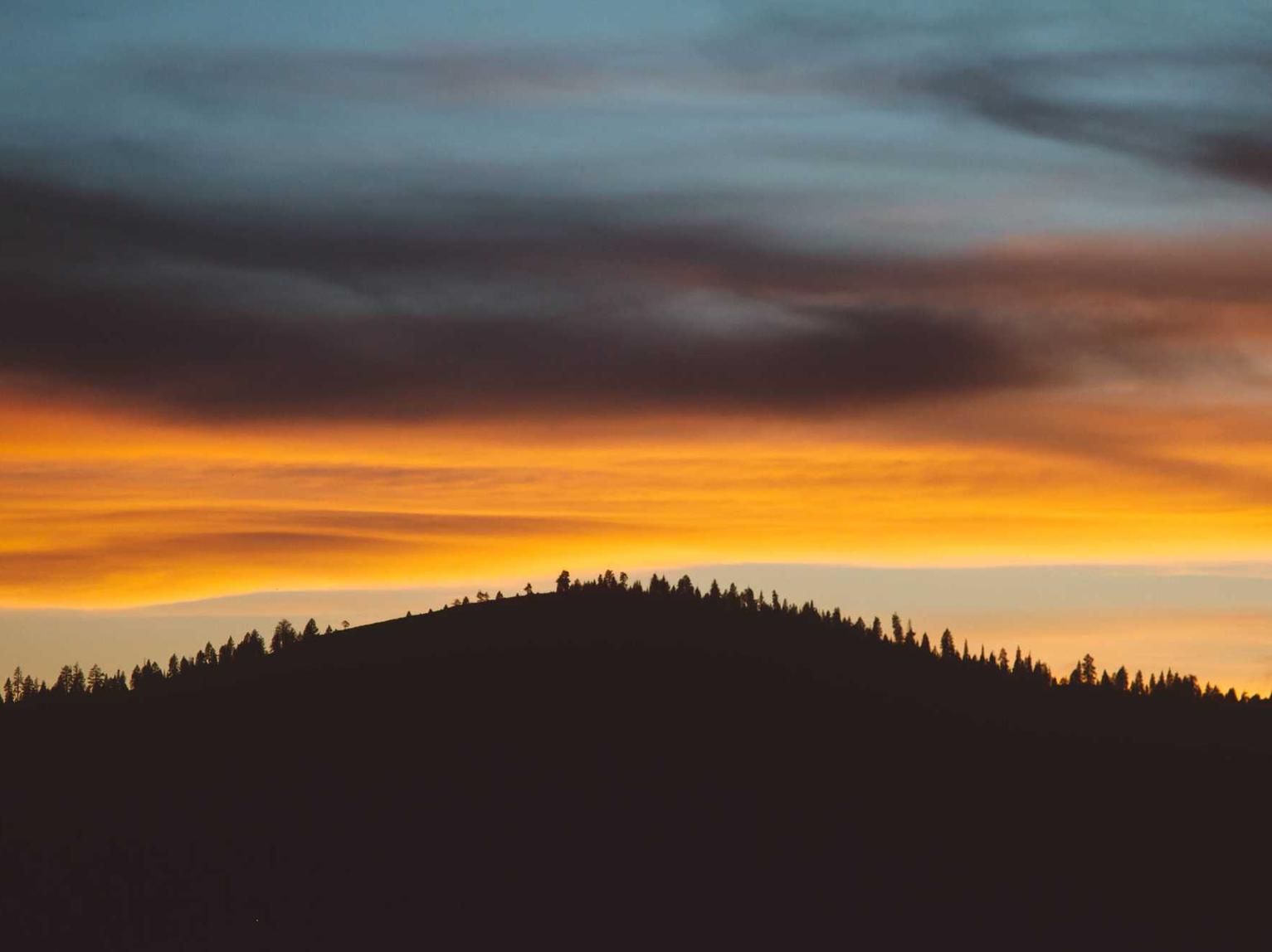 太保e卡实名账号:美间 app 详情下载教程