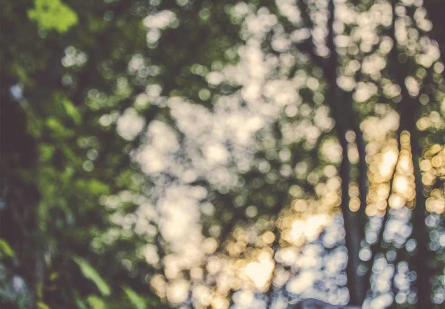 圣斗士星矢（腾讯）：广东正规代理记账注册