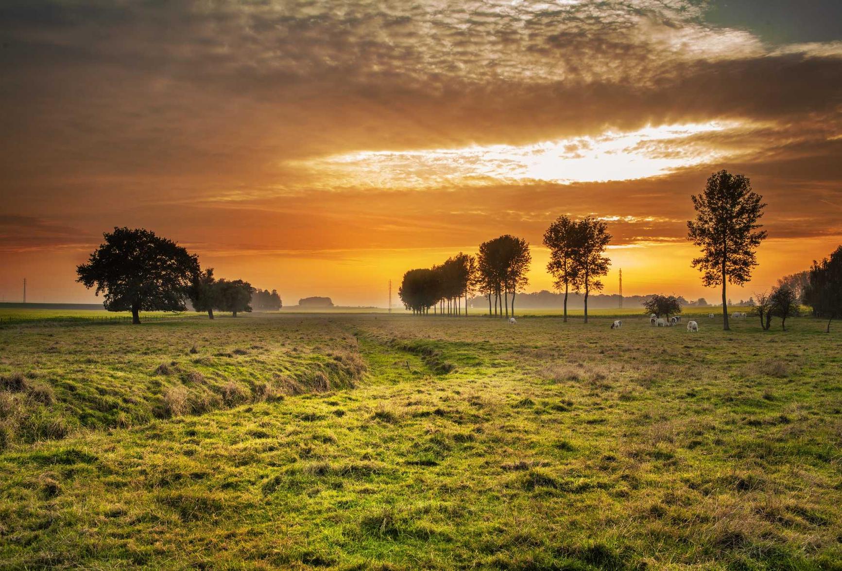 超级舰队：super家 app详情下载教程