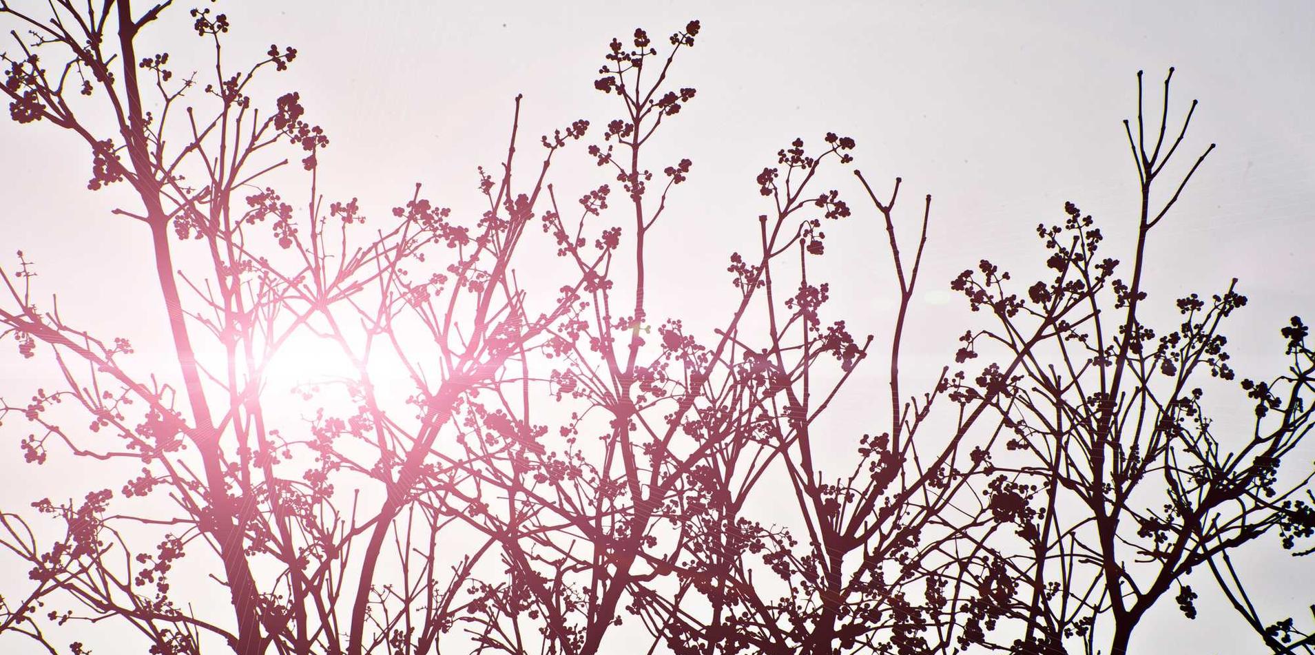 网站压力测试|西安工商代理注册公司