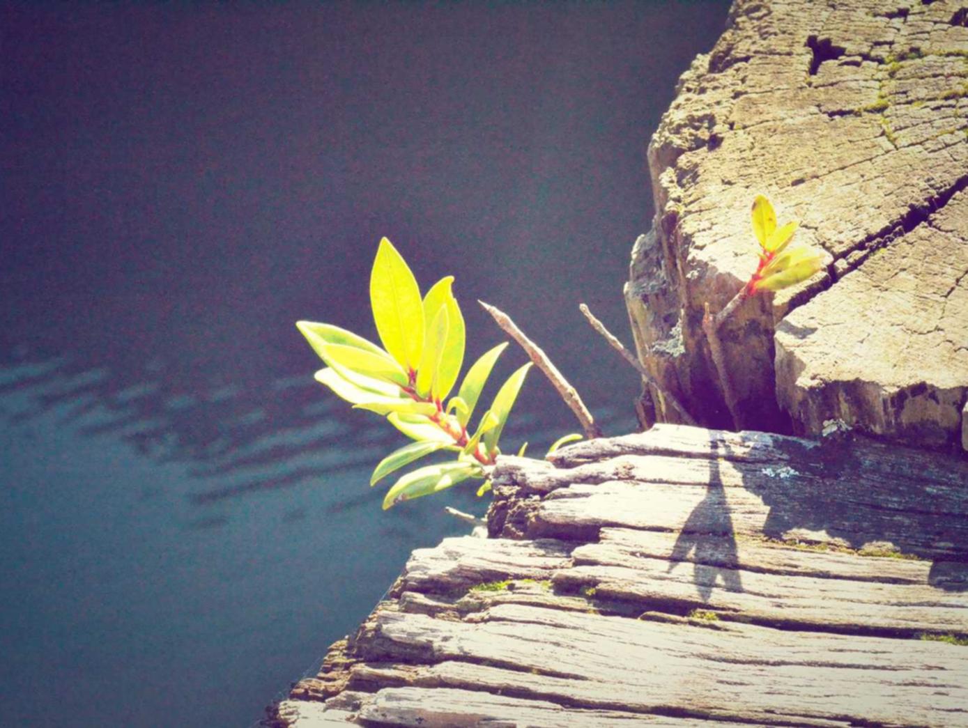 VX账号买卖:丽直播app详情下载教程