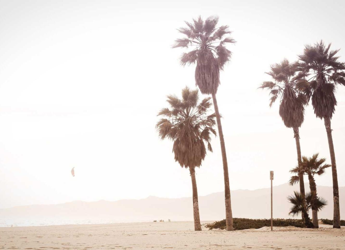 微时代开发平台代理