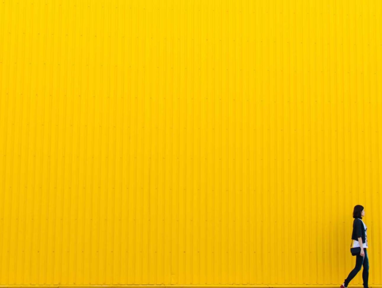 日税香草魔鬼:昆山防疫物资购买平台