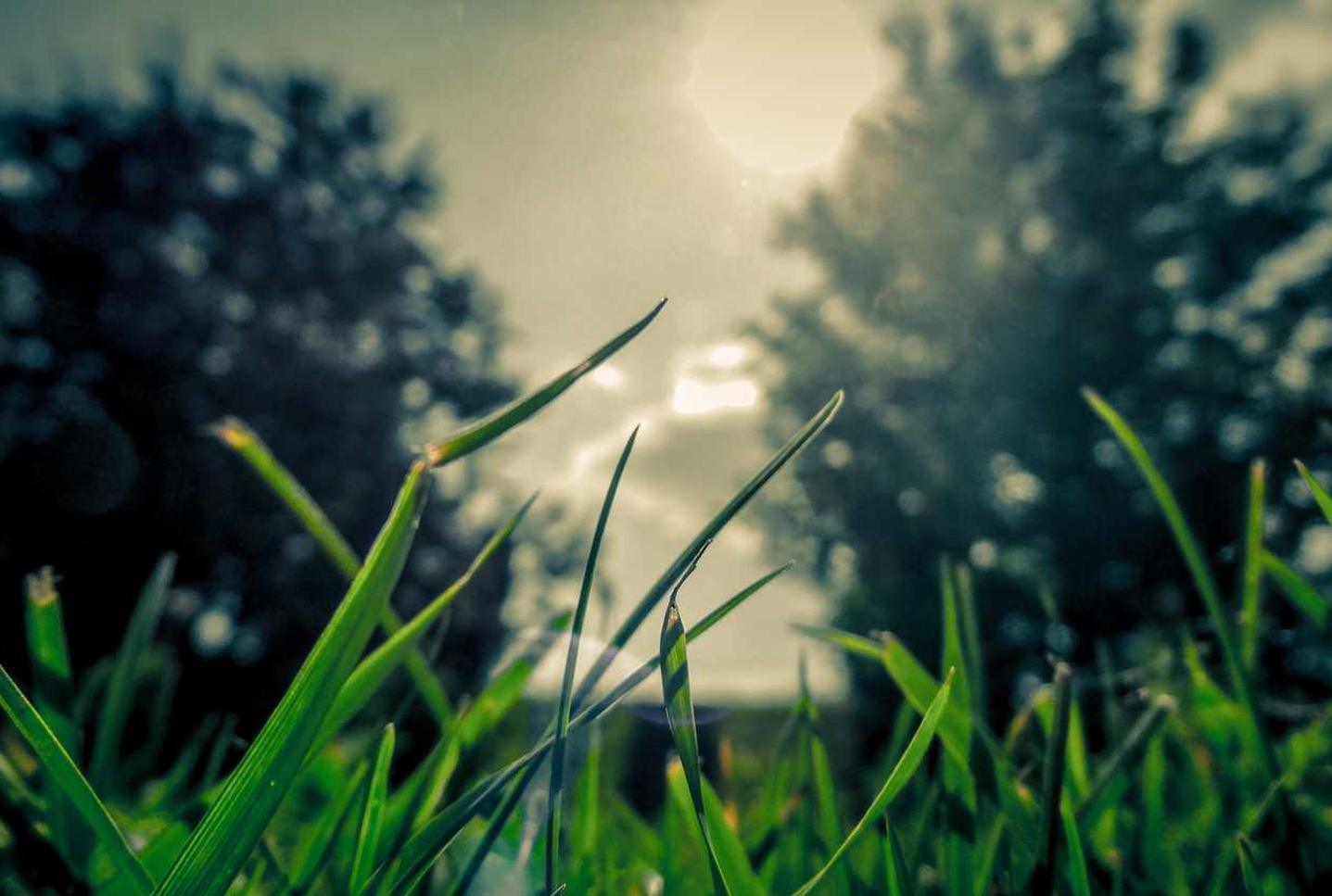 迪加实名账号：蚌埠代理工商注册