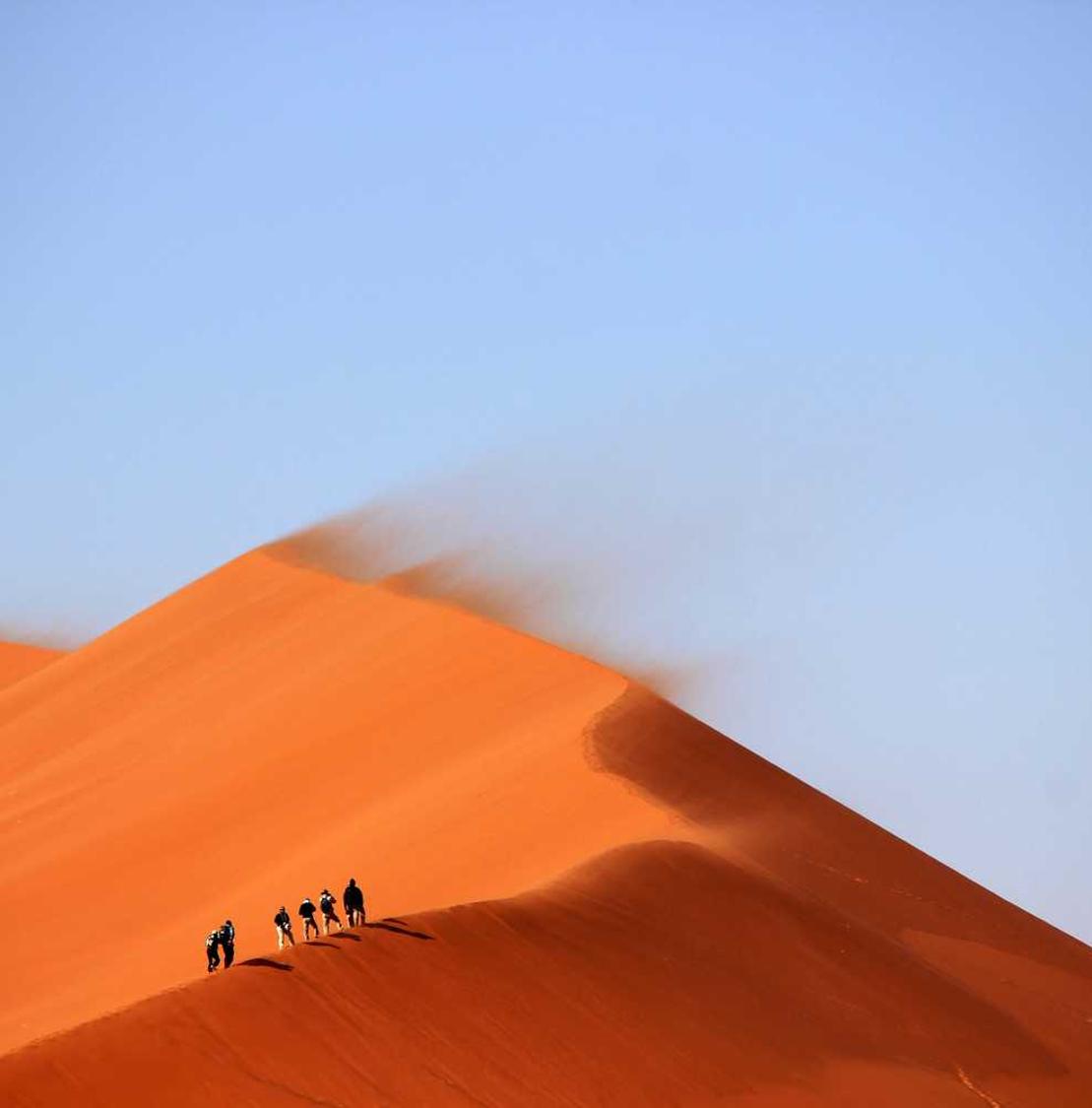 技术支持是否会成为政策制定者关注的焦点